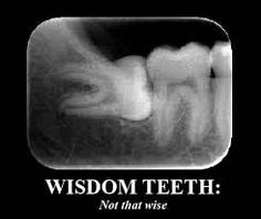 Dentagama's tweet photo. https://t.co/plHbUzWIEq