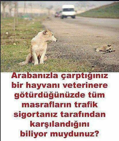 AlaattinCAGIL's tweet photo. Biliyor muydunuz?
"Lütfen paylaşalım."
Bilmeyen araç kullanıcıları da görsün... https://t.co/Fy7HllS3Vy