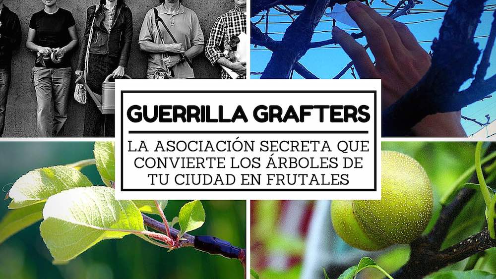 EcoInventos's tweet photo. Guerrilla Grafters, asociación secreta que convierte los árboles de tu ciudad en frutales 

https://t.co/qKMBlxATss https://t.co/wfNOQqahuT