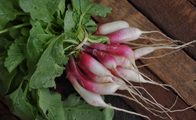 foodprintorg's tweet photo. ICYMI, one of the country’s biggest #UrbanFarms will be built in #Detroit https://t.co/MD8KztJdHU via @ModFarm https://t.co/rdnbknL1Ff