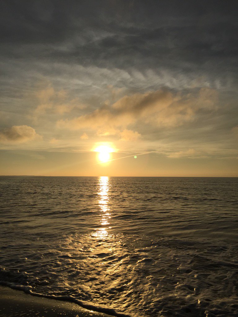 Patricia Acensi Ferré tweet media