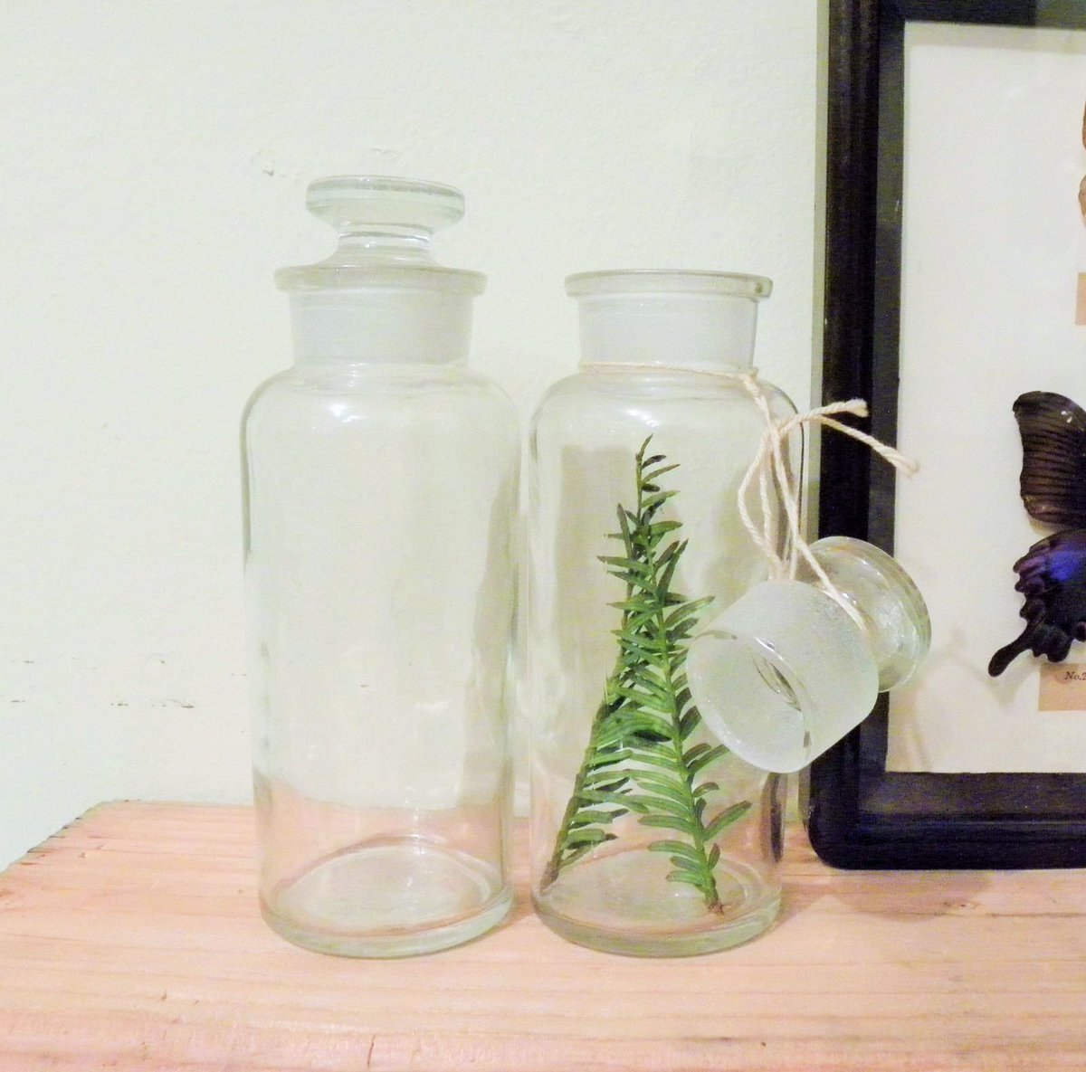fieldsofvintage's tweet photo. #specimenbottles #Apothecary #Medicalbottles #Pharmacybottles  #Chemistbottles https://t.co/XjCtW1bcx3 #Etsy https://t.co/GIkPINY1iV