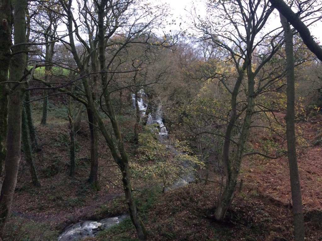 Bear Hunt Kirklees tweet media