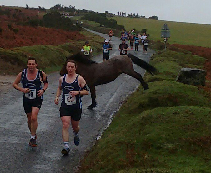 Jackie Chapman 〓〓 tweet media