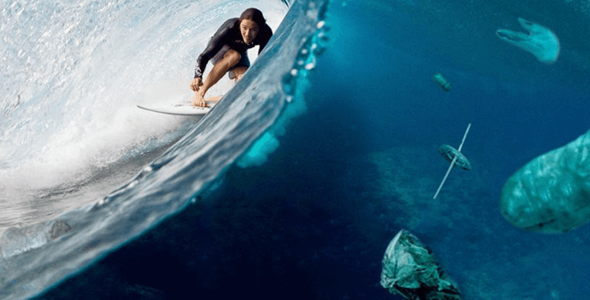 ContikiCanada's tweet photo. Every year 1 million sea birds &amp; 100,000 marine mammals/ sea turtles die from plastic pollution #contikistorytellers https://t.co/atScEdxWql