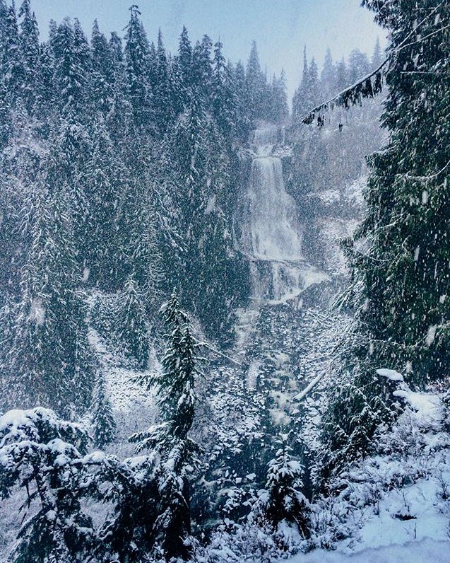 AavaWhistler's tweet photo. Can you spot the falls? #Whistler #AlexanderFalls 📷 janameerman https://t.co/oaMS3pugC7