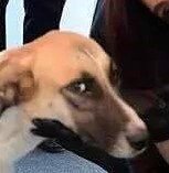 kalipolis's tweet photo. La sabiduría de los animales https://t.co/Si6UAmJNGi