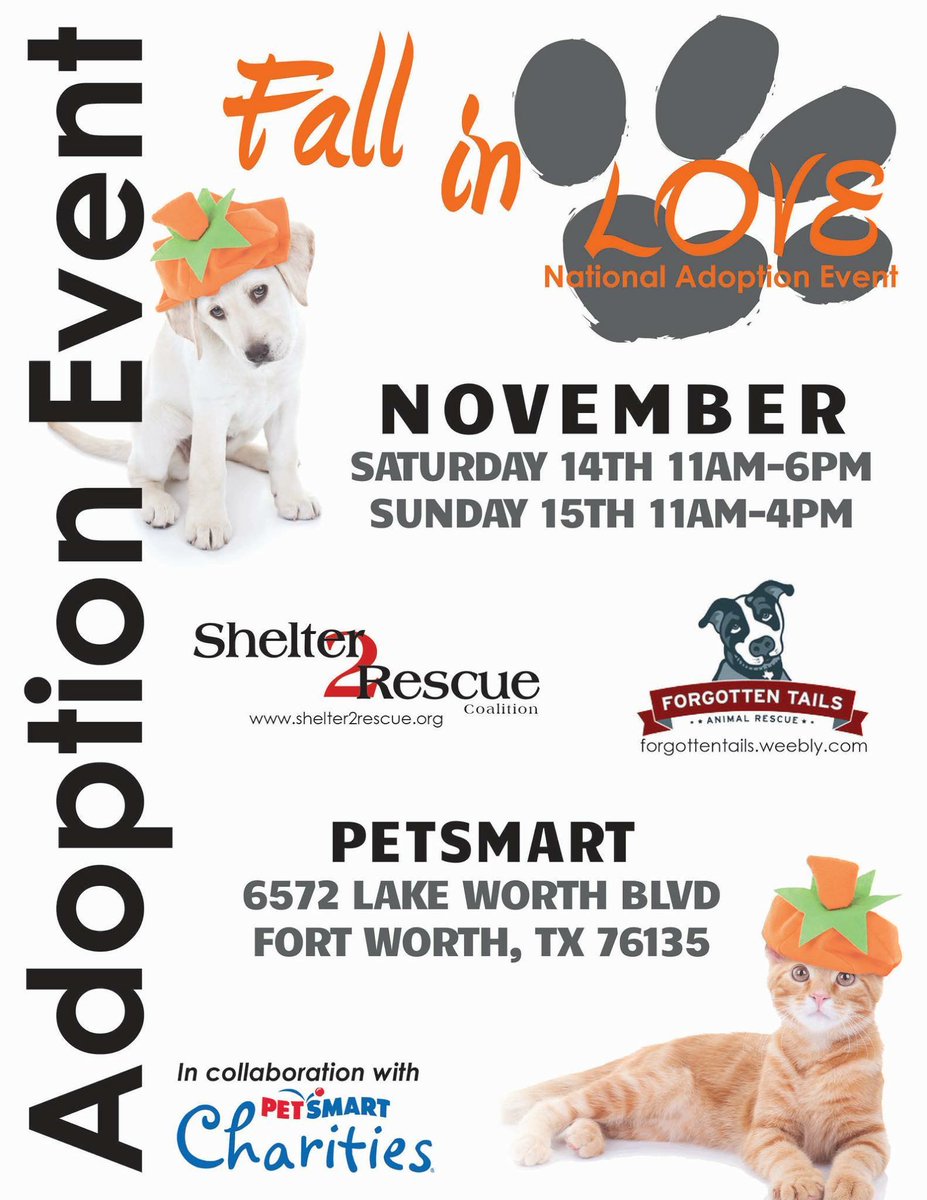 Shelter2Rescue's tweet photo. Is your new best friend waiting in Lake Worth today? Come and see! https://t.co/zWl5jaOY0I