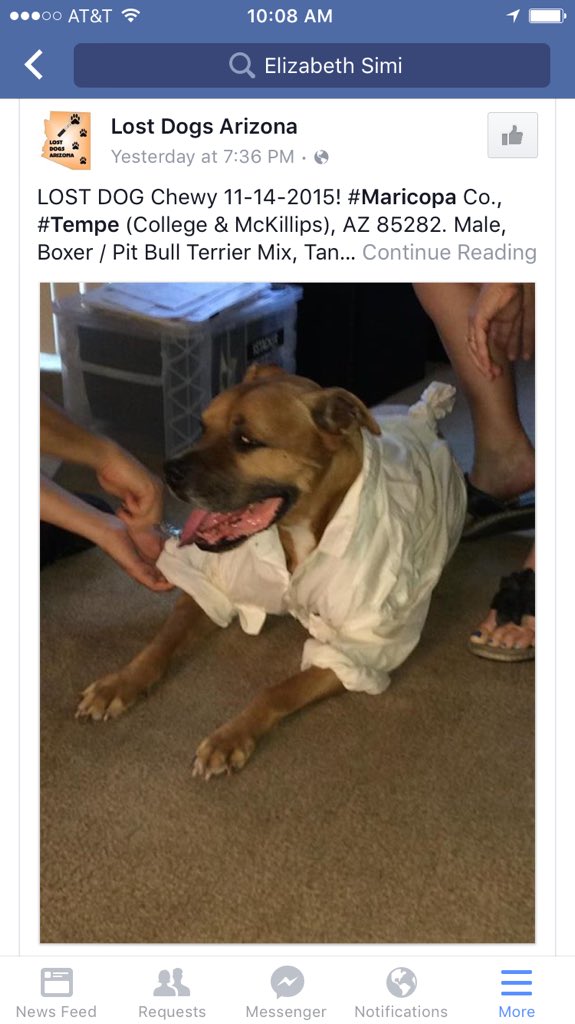 sunshineinjar's tweet photo. Still looking for this boy. If you see him please call 9163161246. Retweet please #lostdog #tempe #pitbullmix #shirt https://t.co/YNpeJVfvMo
