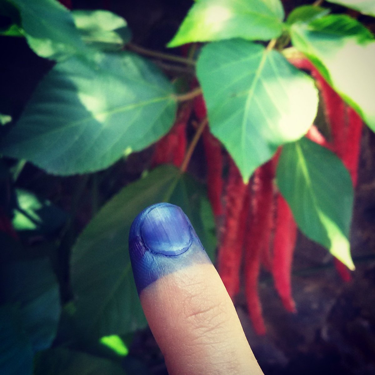Nos merecemos toda la mierda de la corrupción por tener un 20% de participación a estas horas ¡JÓVENES VOTEN PUES!