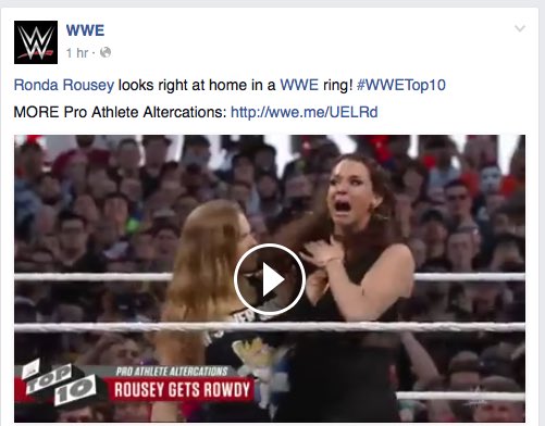ItsTheWWF tweet picture