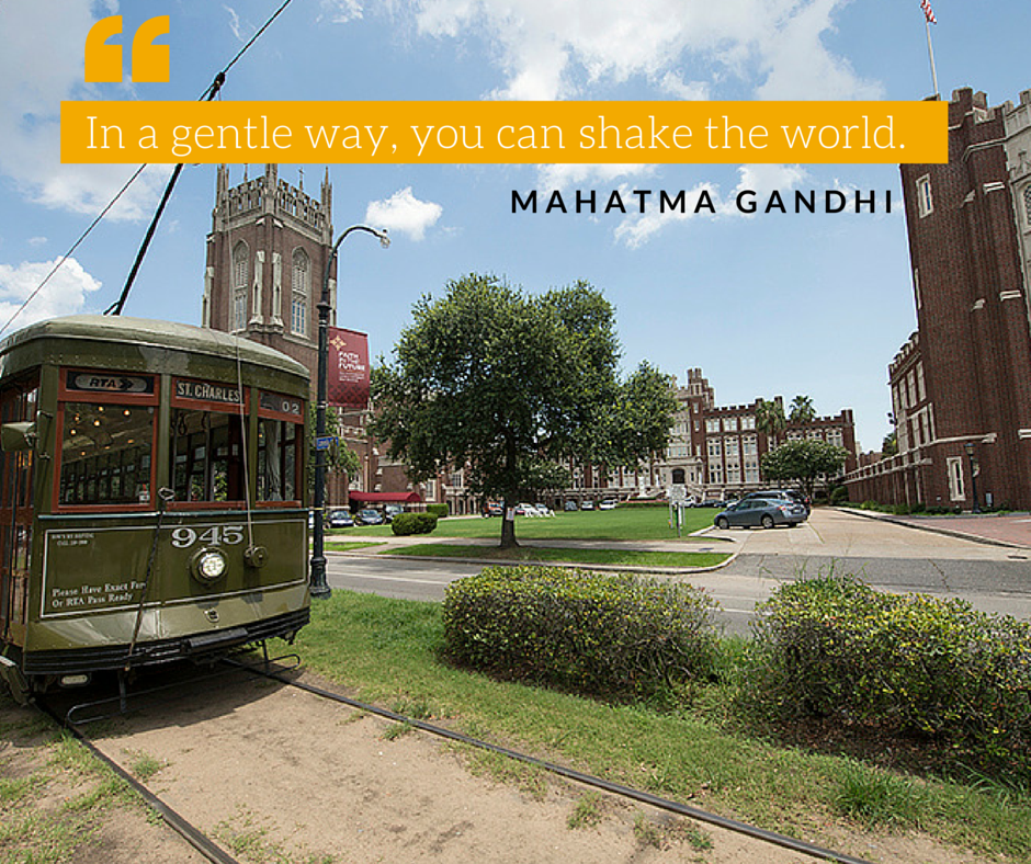 Doris Metropolitan tweet media