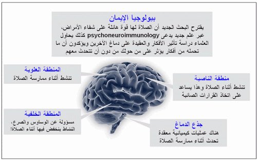 ashowag2016's tweet photo. اللهم اعنا على ذكرك وشكرك وحسن عبادتك  🌼 https://t.co/Cc81iYwa6S