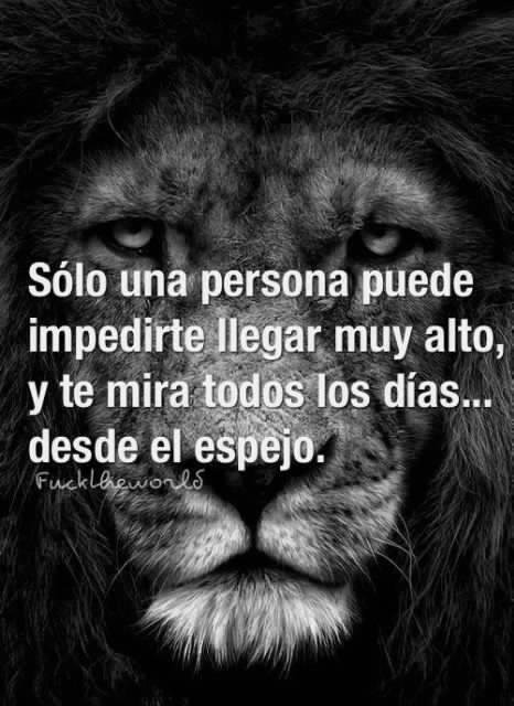 vidabienestarsa's tweet image. Solo una persona puede impedirte llegar muy alto...