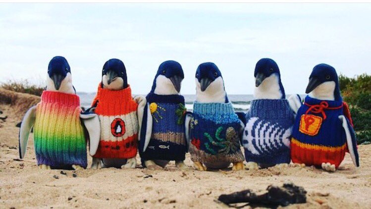 OffTheBedos's tweet photo. I've got a really big team and we need some really big rings. #squadgoals https://t.co/tPE1S7nujw