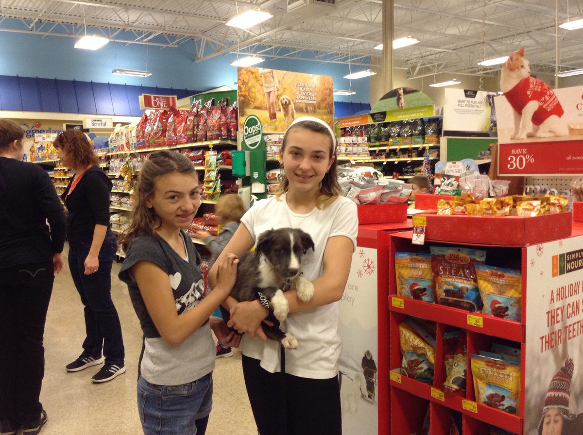 PetSmart#1934 tweet media