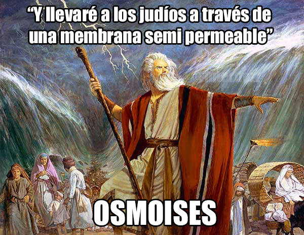 montondemierda's tweet photo. (╯ಠ_ಠ)╯︵ ┻━┻ Ver completo en :https://t.co/HS33490ftx https://t.co/TVQBzFz2l1
