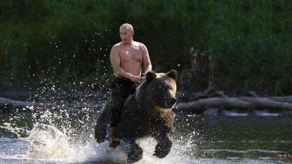 Le_Chapanas's tweet photo. Poutine quand il va arriver comme ça en syrie la concurrence n'aura qu'a bien se tenir https://t.co/f2W9hpKEXF