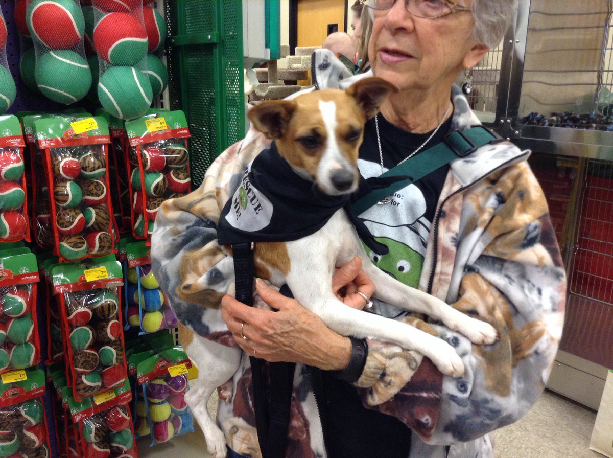 PetSmart#1934 tweet media