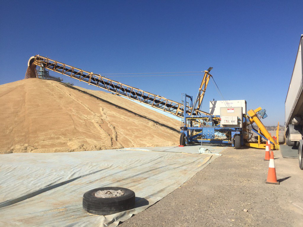 grantmyall's tweet image. Some Australian grain storage #grainflow #sea lake