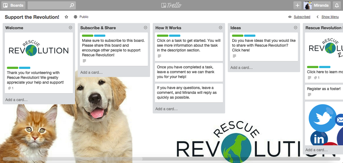 RescuRevolution's tweet photo. The newest way to get involved with #RescueRevolution! https://t.co/k7V3Z2tZb6 #animalrescue #Trello https://t.co/RaGpVMWx5a