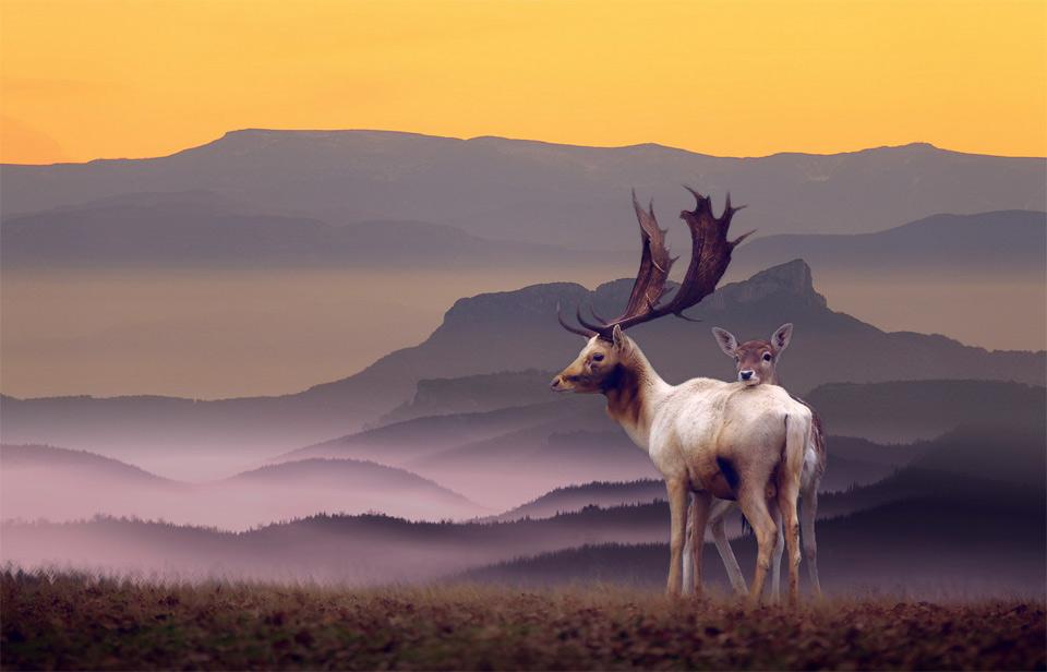 Viajes Y Naturaleza tweet media