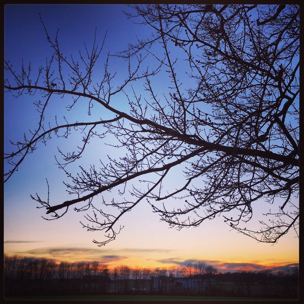 overtherhine's tweet image. The gloaming.