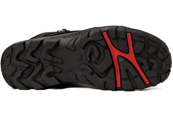 ecco xpedition ii 2015