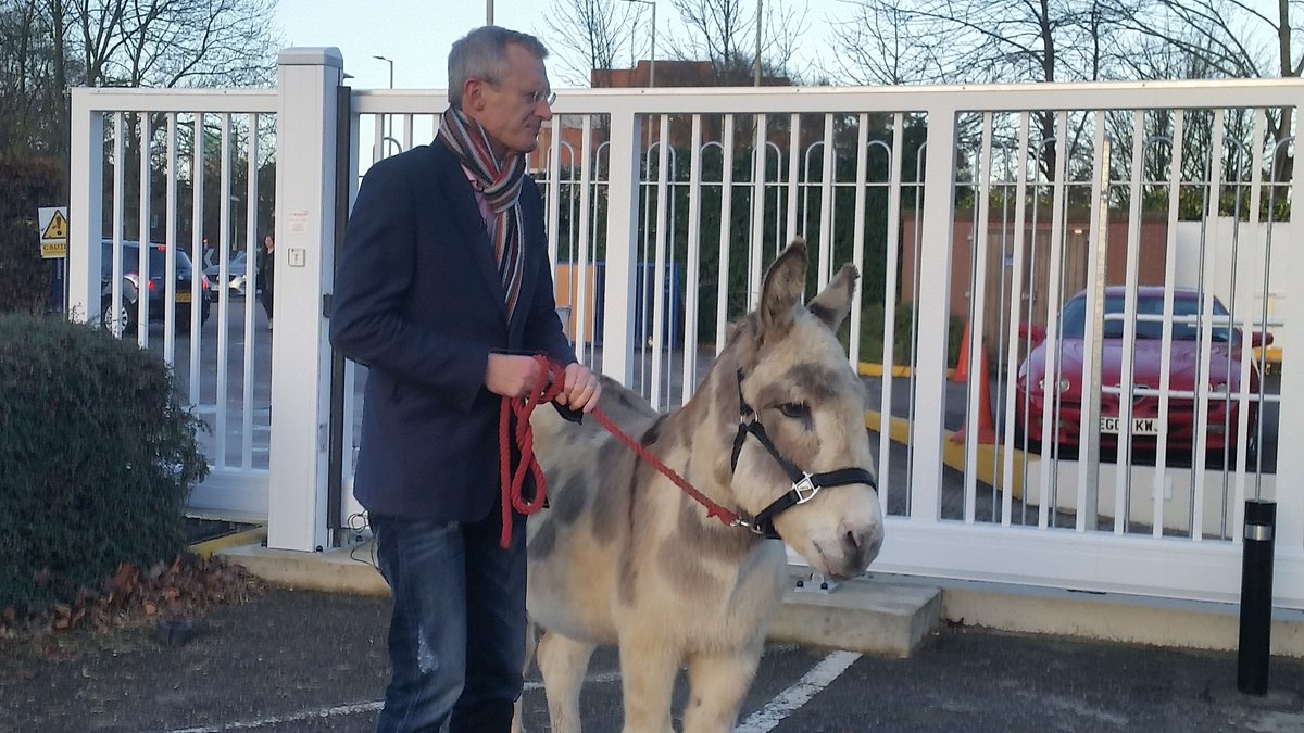 Danny Donkey & Pals tweet media