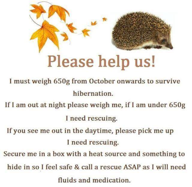 Kimberley tweet media