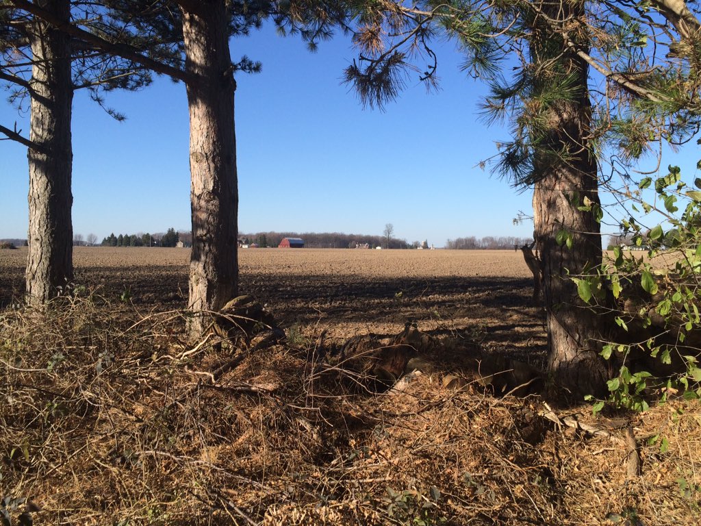 McLeodReports's tweet photo. Yard work isn't so bad when it's this beautiful out and you've got this view #farmcountry #themuth @AndrewKeller https://t.co/Spq2sXul0b