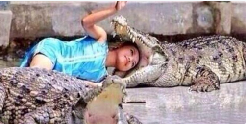 8_Semesters's tweet photo. me at this point of the semester https://t.co/BcUZ51Jp0l