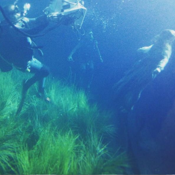 LivingDeadBBC's tweet photo. Great underwater picture from filming #TheLivingAndTheDead: https://t.co/5WwsPRQx9M https://t.co/yEGs0f6TNn
