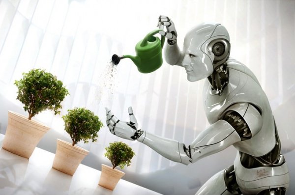 noordinaryco's tweet photo. How to Prepare for a Future When Robots Can Do Half Your Workhttp://bit.ly/1MHFVrv #roboticinventions https://t.co/3GJNR0zByL