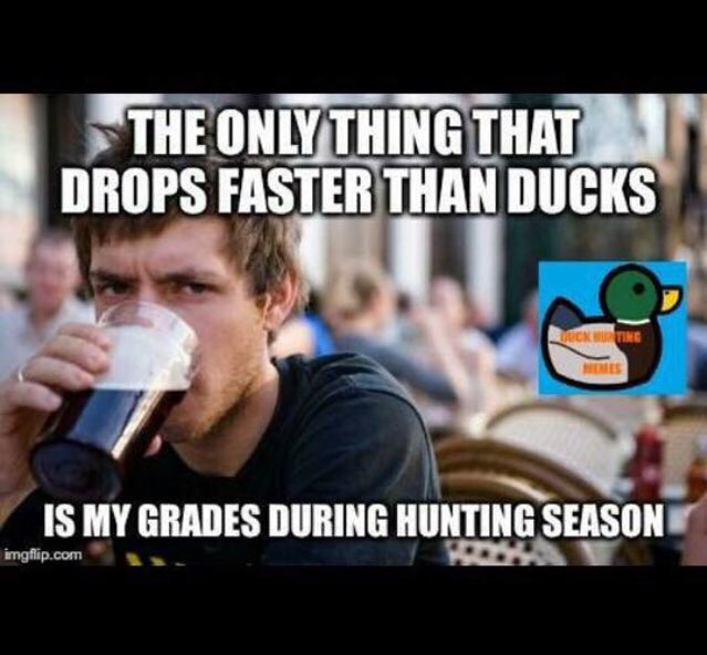 SDG_Calls's tweet photo. RT if this is you! https://t.co/CeZ2drV4CC