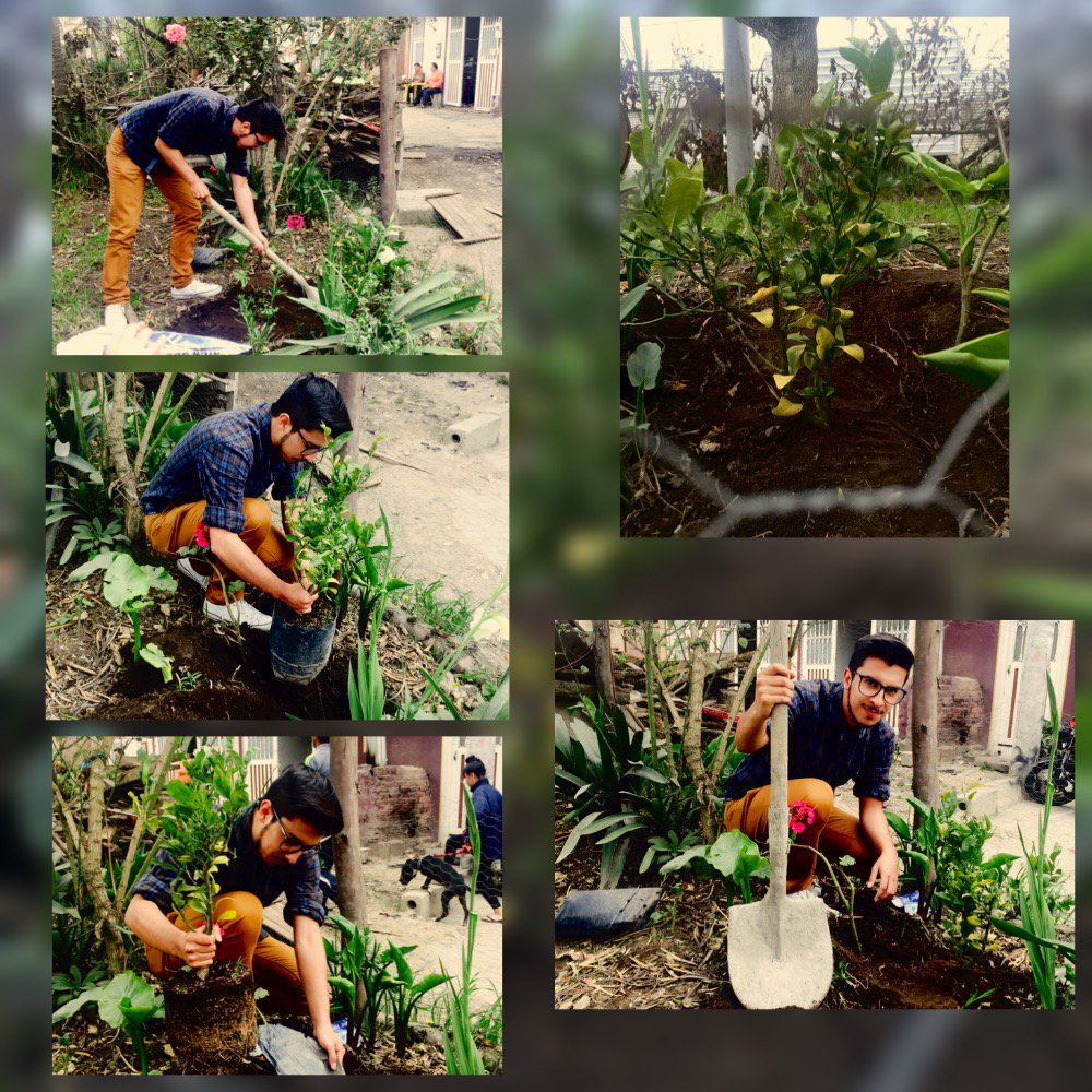 NicoFCD's tweet photo. #siembraunarbolvirtual #umbvirtual Es trabajo de todos cuidar nuestro hogar y el de la naturaleza! https://t.co/6HNeQy1jxq