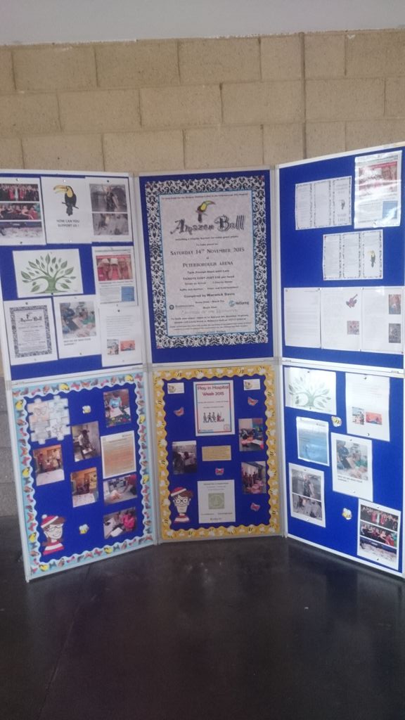 nataliej250's tweet image. @DesignArmstrong one of the posters at the @AmazonBall over £30,000 made so far,