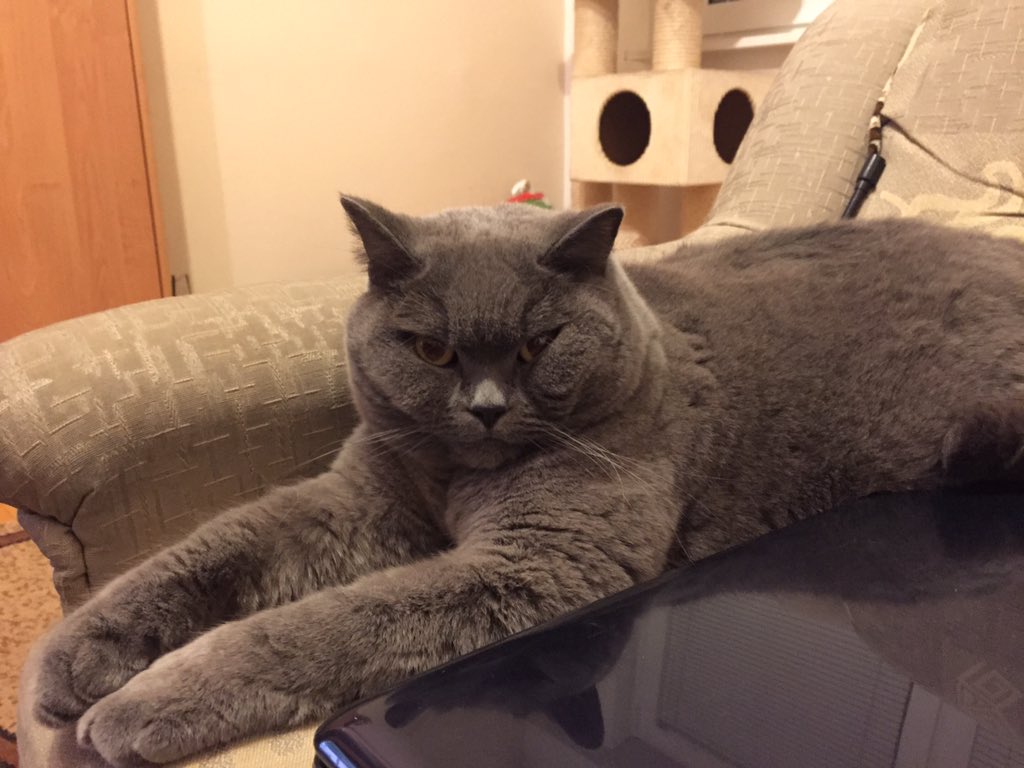 magda_siwik's tweet image. #PanKot