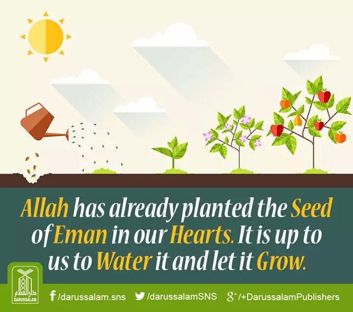 DrBushraIqbal's tweet photo. #SeekAllah #LiveForAllah #SpreadLoveNotHate #SpreadLight #علم_نفس https://t.co/xvxYmhqoTV