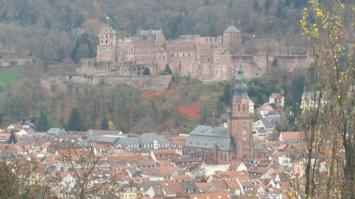 The view from Heidelberg's Philosopher's Walk #philosophenweg #HeidelbergerSchloss #TheoretischePhysik