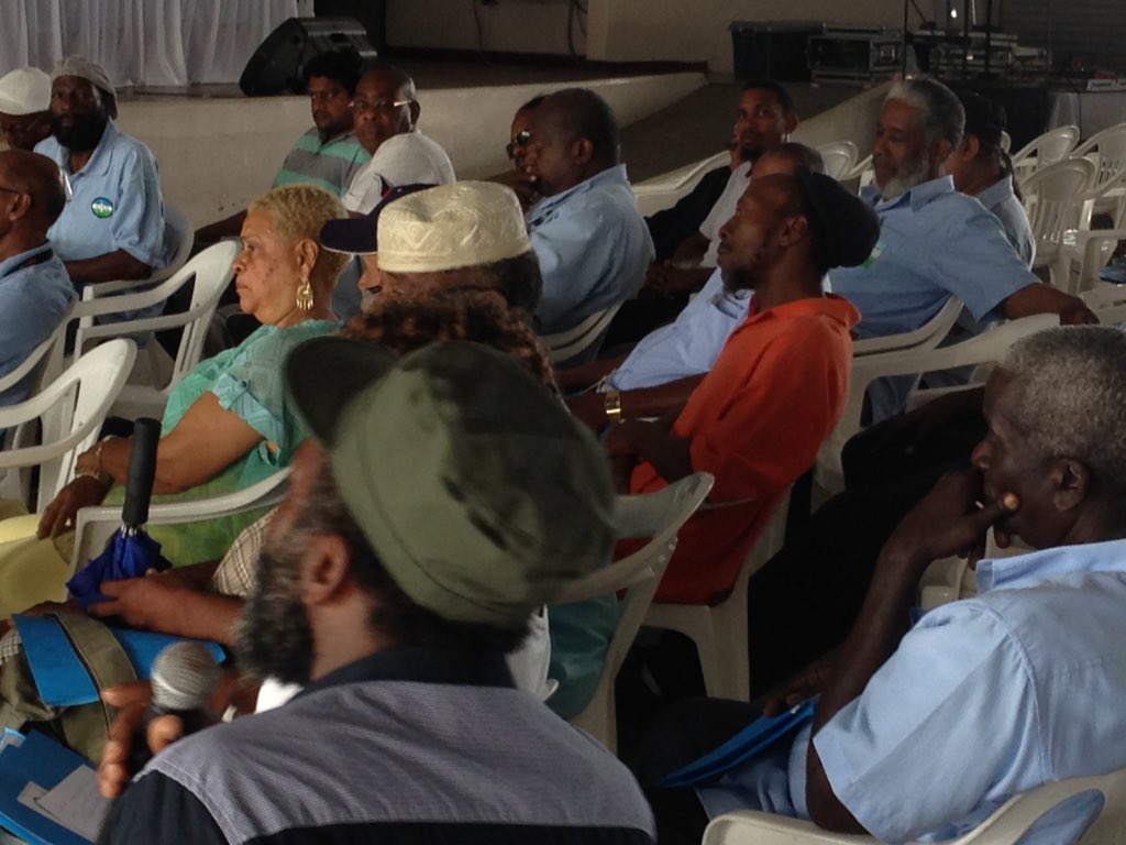 MSJ special congress filled with activities...