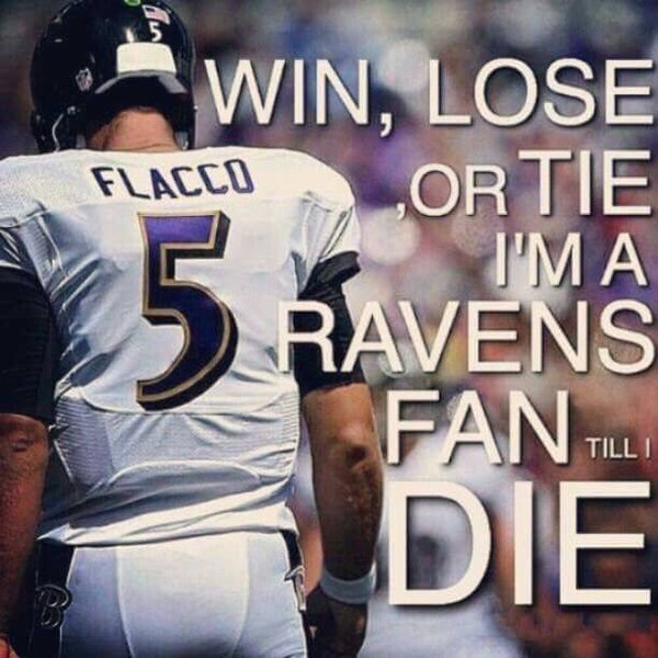 7thGypsy's tweet photo. #RAVENS
#2theGrave https://t.co/sn7CYczWI0