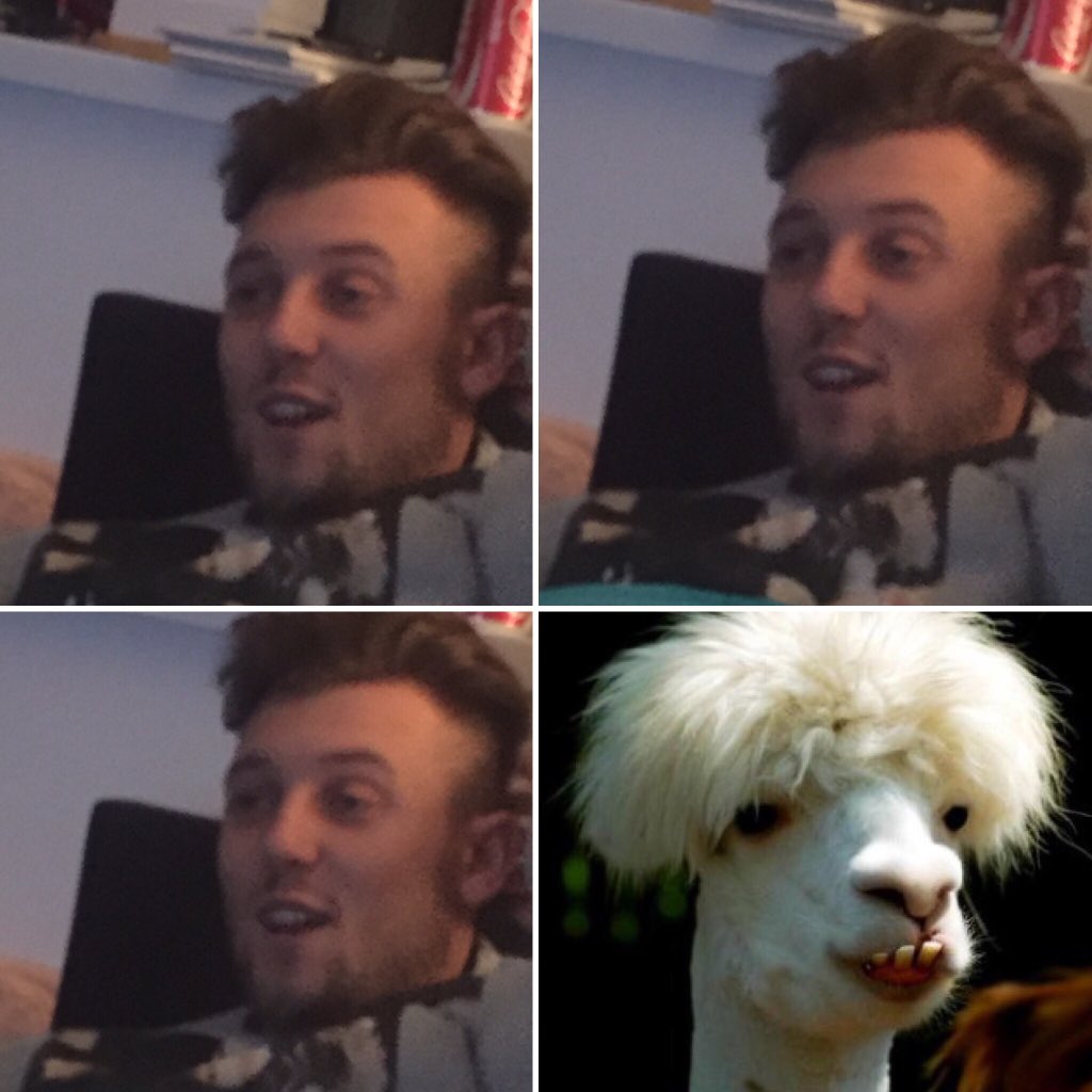 alex_sanderson7's tweet photo. Barber: what do you want?
@jesse_jhowe : I'll have the lama please!
Barber: sure thing https://t.co/UuE891fiVh