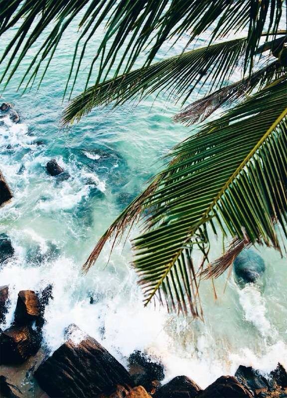 adventurful's tweet photo. 🌴🌊 https://t.co/yu24T2AUgW
