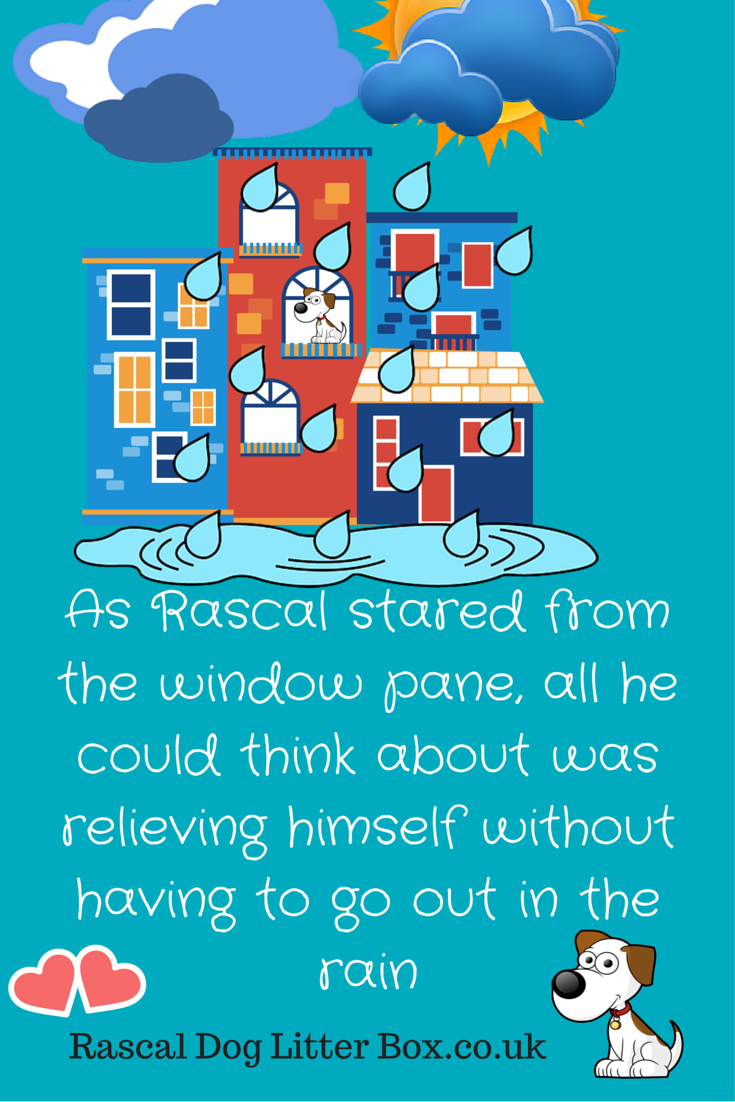 Pelz Lautsprecher Sofa rascal dog litter box Strom Theoretisch Verwirrt