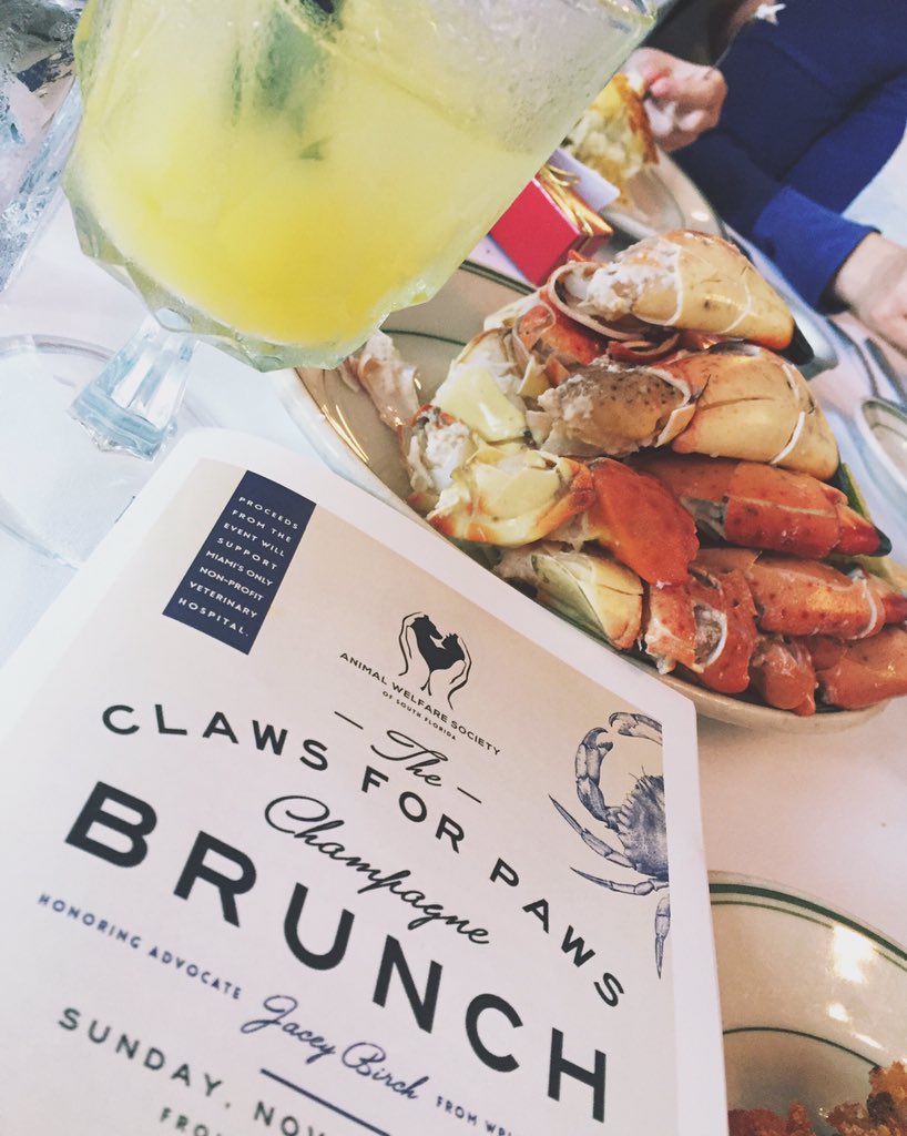 rachelbleemer's tweet photo. #clawsforpaws was a hit. Thanks everyone who supported. https://t.co/M4g5FXbVjS