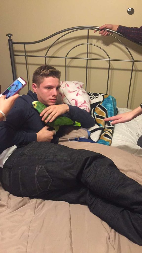 dev000n's tweet photo. When ur chillin with your parrot &amp; remember you forgot to pull out https://t.co/JwIld1jGzA