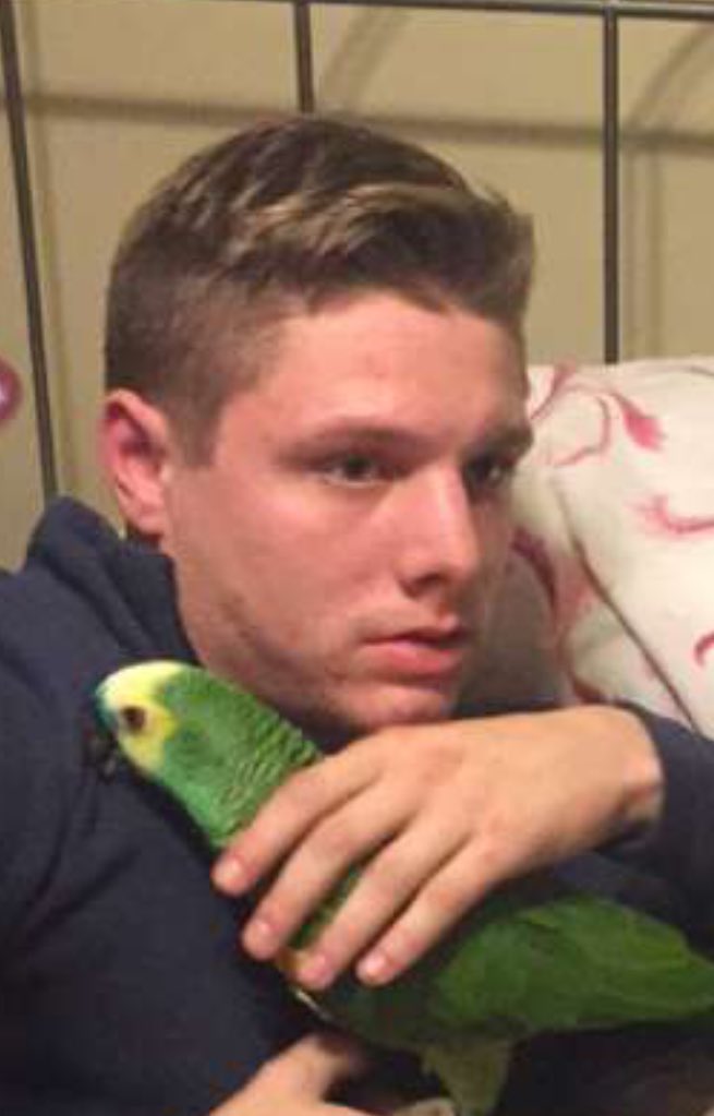 dev000n's tweet photo. When ur chillin with your parrot &amp; remember you forgot to pull out https://t.co/JwIld1jGzA