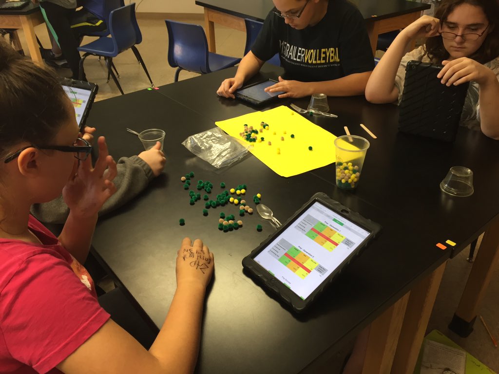 cms7black's tweet photo. Check out our predators hunting for Pom Pom prey  @chisholmpride https://t.co/sYQUHhHRC2