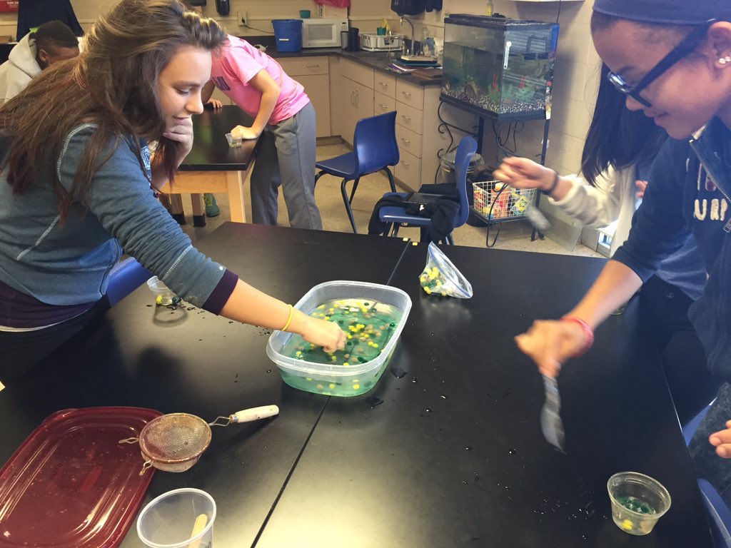 cms7black's tweet photo. Check out our predators hunting for Pom Pom prey  @chisholmpride https://t.co/sYQUHhHRC2